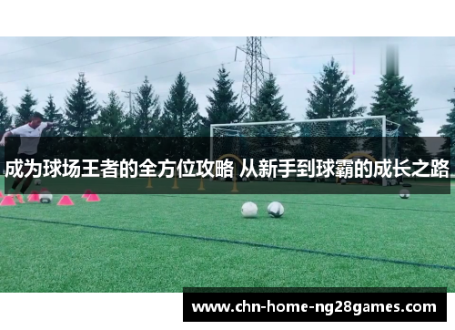 成为球场王者的全方位攻略 从新手到球霸的成长之路