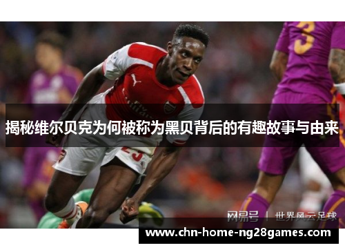 揭秘维尔贝克为何被称为黑贝背后的有趣故事与由来