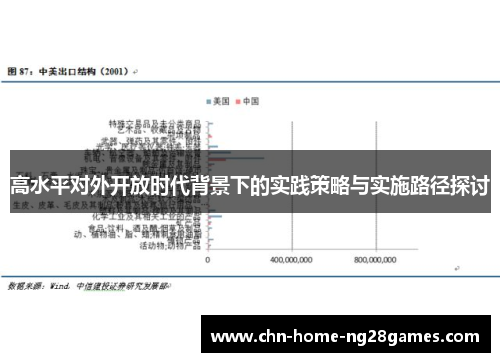 高水平对外开放时代背景下的实践策略与实施路径探讨 高水平对外开放时代背景下的实践策略与实施路径探讨