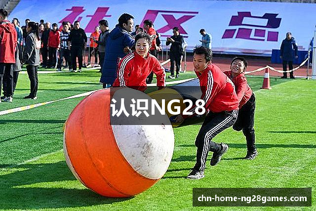 认识NG28